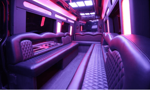 Boston 14 Passenger Sprinter Bus Interior